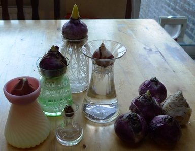 Burmese hyacinth vase