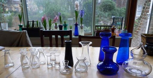 crocus vases tulip vases hyacinth vases