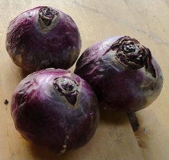 hyacinth bulbs
