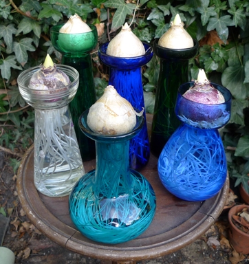 hyacinth vases