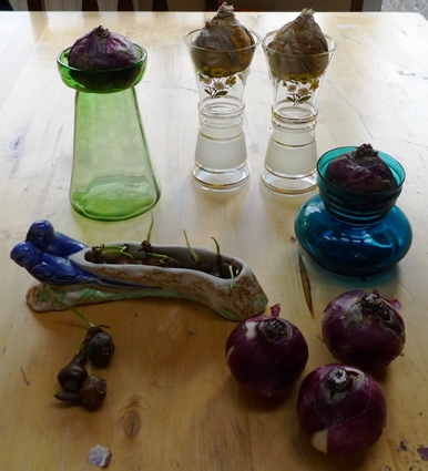 hyacinth vases and Shorter and Son trough