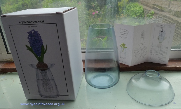 Kinto Aqua Culture hyacinth vase