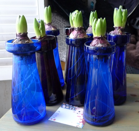 Victorian hyacinth vases