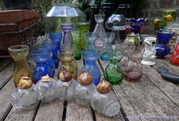 glass ball joined posy with crocus bulbs