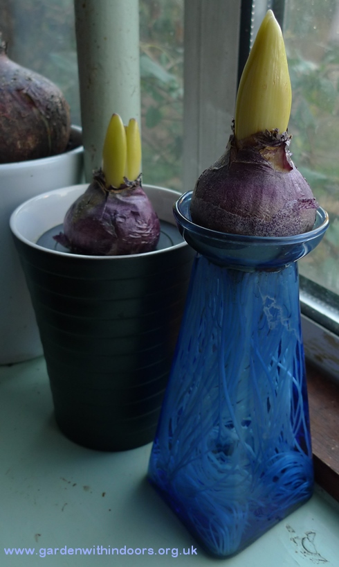 Ravenhead Naturals hyacinth vase