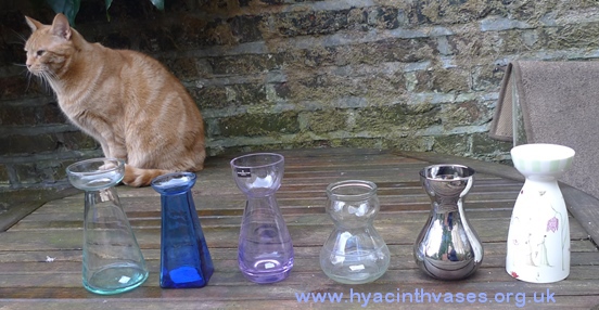 modern hyacinth vases