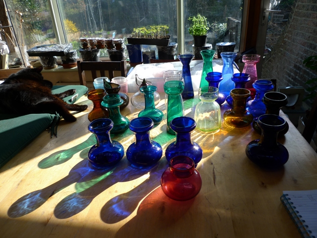 Tye hyacinth vases