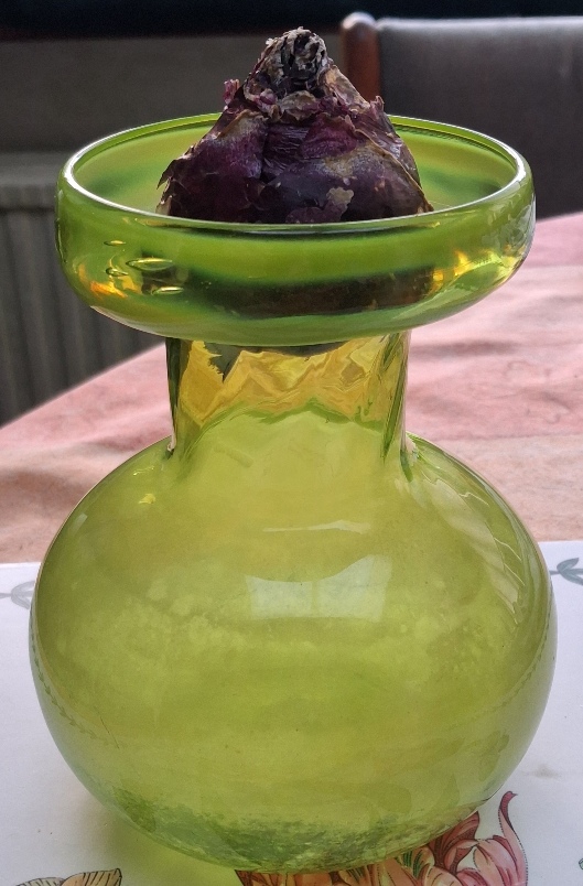 uranium hyacinth vase